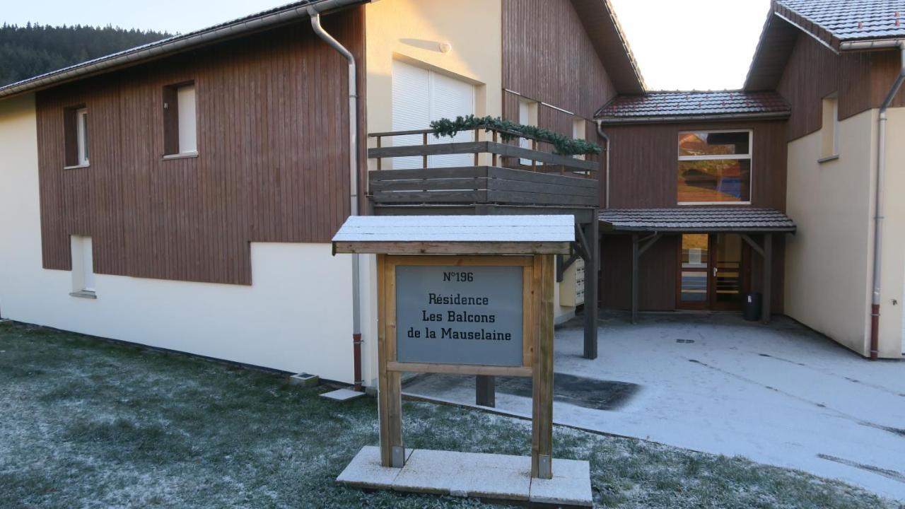 Apartment Location Les Balcons De La Mauselaine Gérardmer Exterior foto